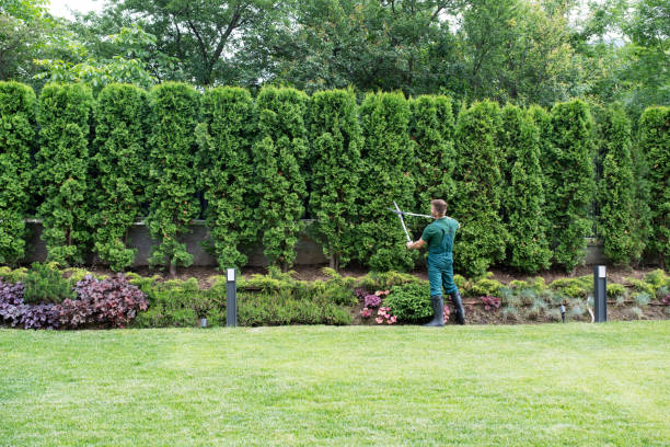 Best Seasonal Cleanup (Spring/Fall)  in Palos Verdes Estates, CA